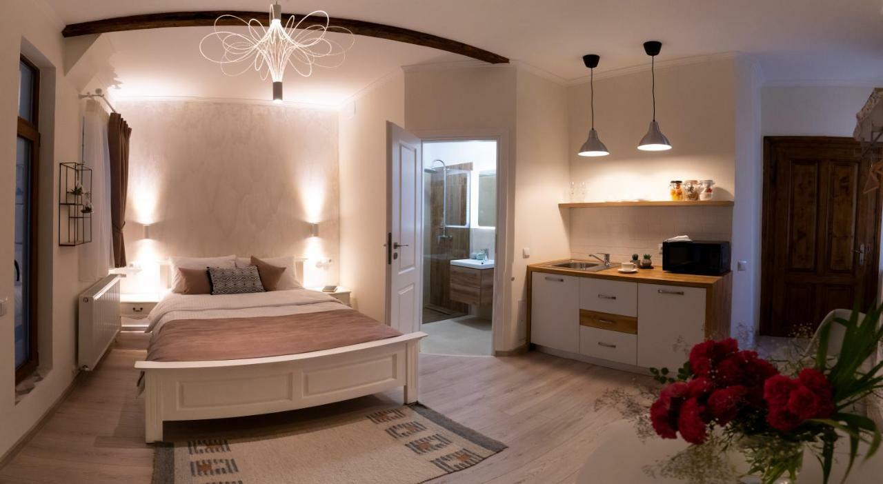 Samuel Wagner Apartment Сибиу Екстериор снимка